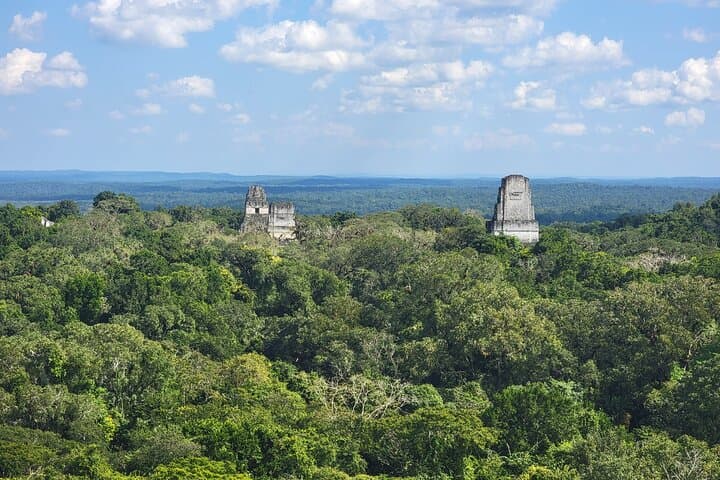 Tikal Private Day Tour from Flores — Guided Ruins, Wildlife & Round-Trip Transport photo 1