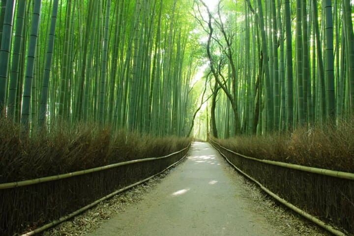 Arashiyama, Kinkakuji & Nara Park: Day Tour from Osaka and Kyoto photo 3