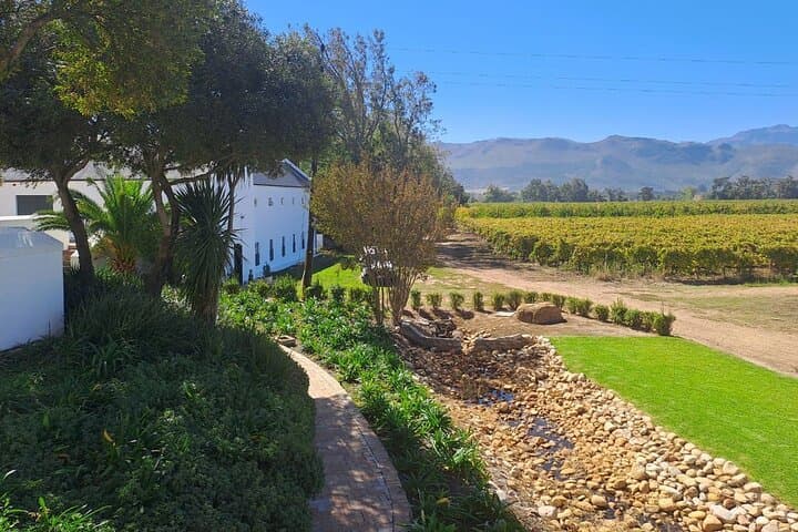 Cape Winelands Private Wine Tour: Franschhoek & Stellenbosch Day Trip from Cape Town photo 5