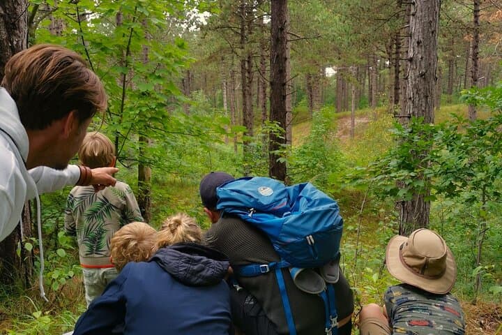 Westenschouwen Deer Roar Safari — Guided Rutting Walk in Zeeland photo 2