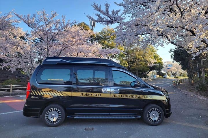 Private Transfer Jeju Airport to Seogwipo — Direct Taxi & Minibus Service