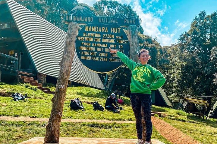 Day Hike to Mandara Hut — Kilimanjaro’s Forest Route from Moshi photo 3