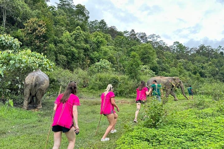 Chiang Mai Half-Day Elephant Sanctuary & Waterfall: Ethical Observation and Karen Cultural Experience photo 2