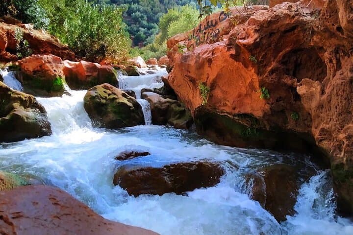 Ouzoud Waterfalls Day Trip from Marrakech: Guided Hike, Boat Ride & Lunch photo 3