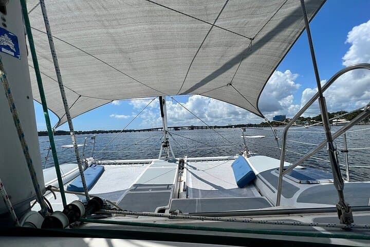 Daytona Beach Catamaran Dolphin and Manatee Watch — 90‑Minute Sailing Tour photo 6