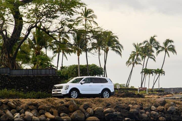 Road to Hana Scenic Drive with Brunch — Private Day Tour from Paia photo 1