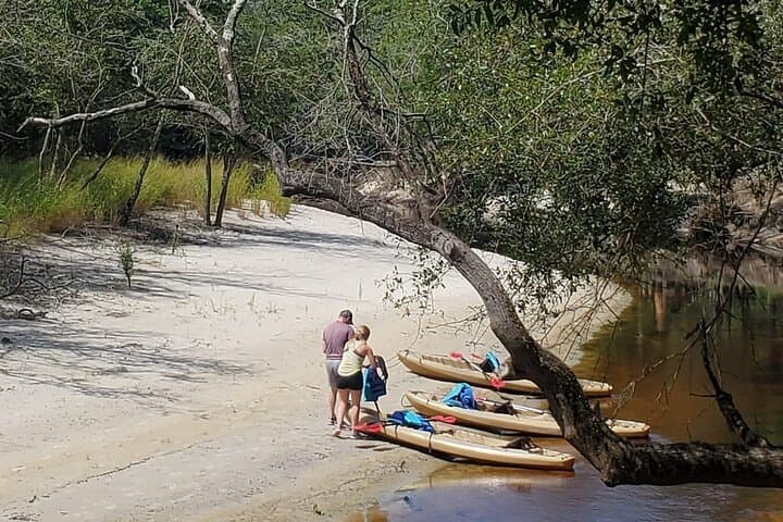 Experience the Waccamaw River: Tubing and Kayaking Adventure Near Myrtle Beach photo 4
