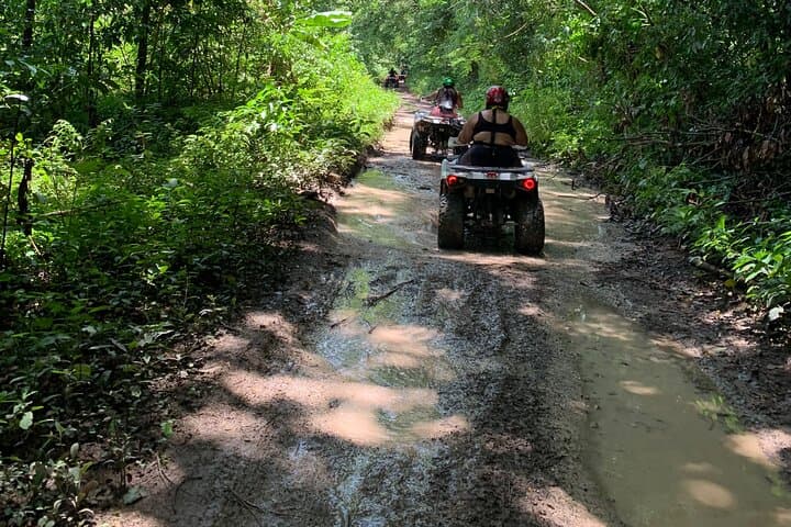 ATV Jungle Safari from Montego Bay — Off‑Road Rainforest Ride & Riverside Stops photo 5