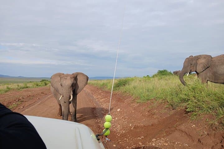 3-Day Maasai Mara Safari: Big Five Game Drives & Maasai Village Experience photo 1