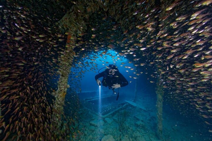 3 Fun Dives: King Cruiser Wreck, Shark Point & Koh Dok Mai — Phuket Advanced Diver Trip