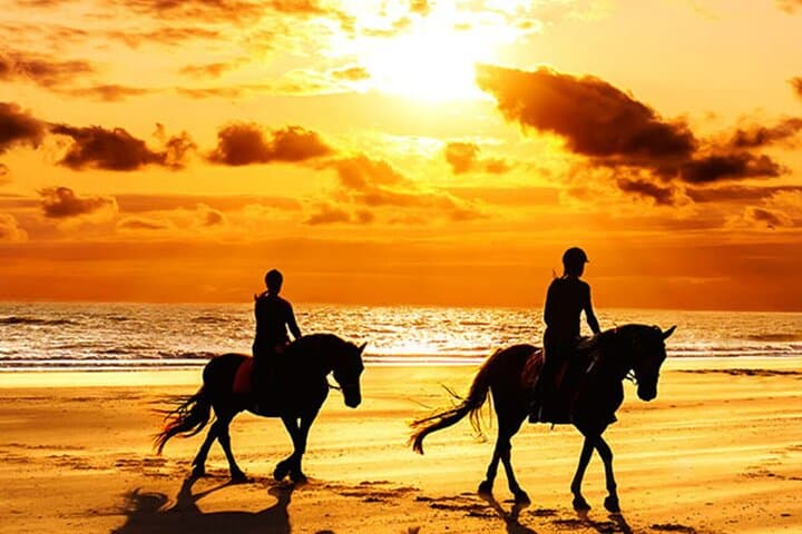 Sunrise & Sunset Beach Horse Riding in Taghazout & Agadir — Coastal Equestrian Tours