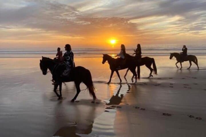 Sunrise & Sunset Beach Horse Riding in Taghazout & Agadir — Coastal Equestrian Tours photo 2