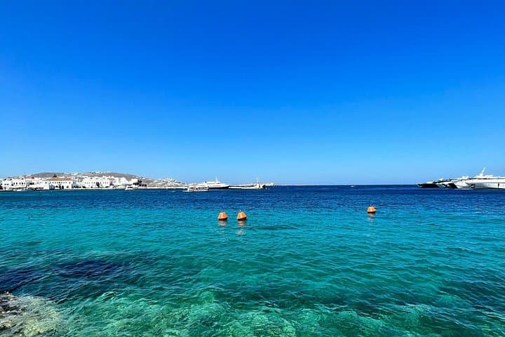 Mykonos 3-Hour Beach Hopping: Elia, Kalafatis & Kalo Livadi by Van photo 4
