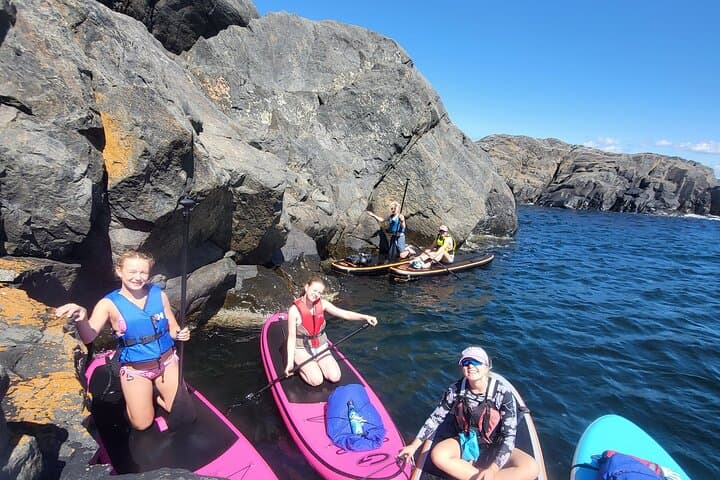 Standup Paddleboarding Tours on the Norwegian Coast — Beginner-Friendly SUP Excursions