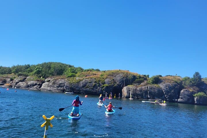 Standup Paddleboarding Tours on the Norwegian Coast — Beginner-Friendly SUP Excursions photo 3