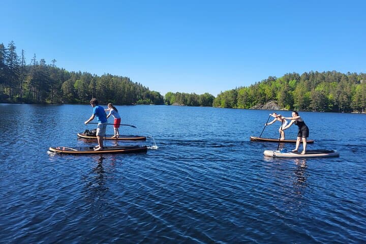 Standup Paddleboarding Tours on the Norwegian Coast — Beginner-Friendly SUP Excursions photo 5