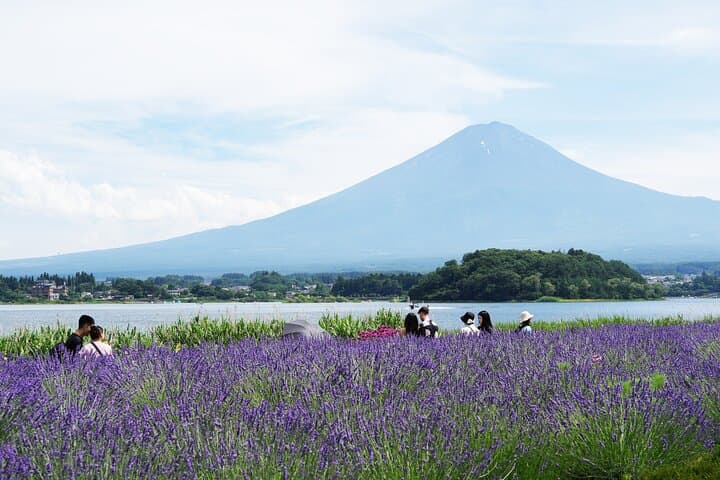 private-full-day-mt-fuji-tour-chureito-pagoda-oshino-hakkai-oishi-park