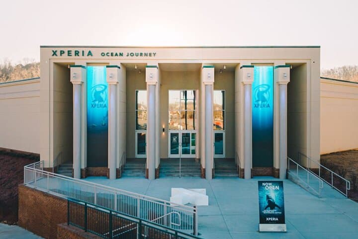 Digital Ocean Adventure in Sevierville — Immersive Underwater Experience photo 2
