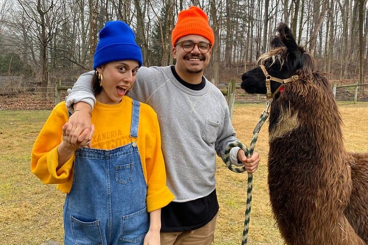 Alpaca and Llama Encounter at Jenny Jump: Guided Walk & Meet-and-Greet photo 2