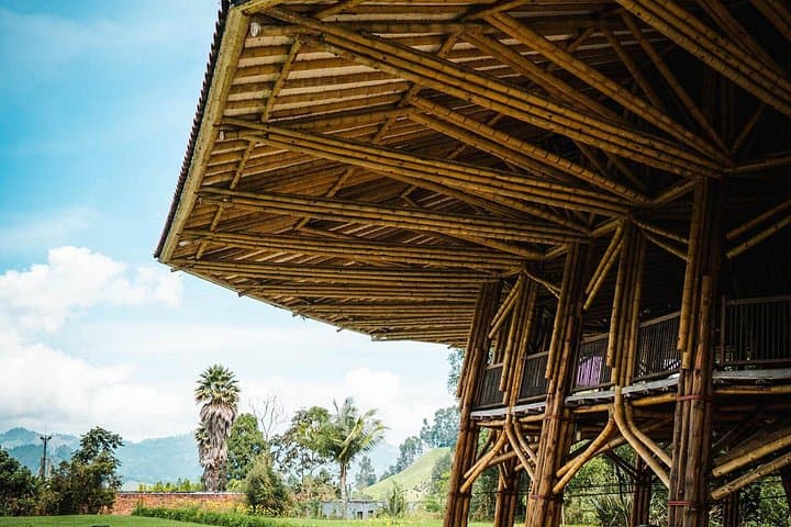 Recinto del Pensamiento Eco-Park Tour: Manizales Nature Walk & Birdwatching