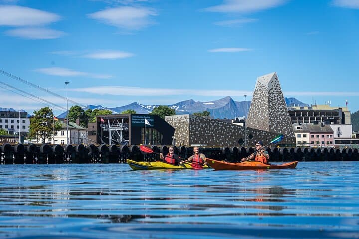 Paddle the Romsdalsfjord: 3-Hour Kayak Tour from Åndalsnes photo 6
