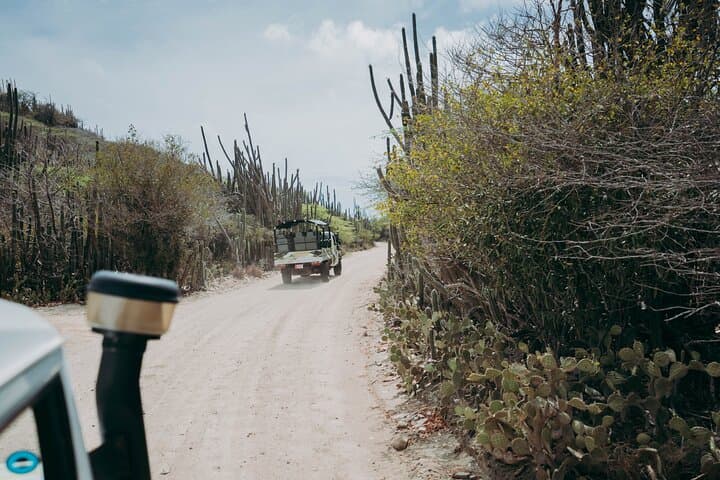 Aruba Jeep Tour to the Natural Pool & Baby Beach — Conchi, Fontein Cave and Off‑Road Trails photo 4