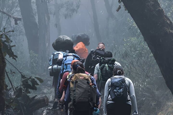 7-Day Machame Route Kilimanjaro Trek to Uhuru Peak photo 3