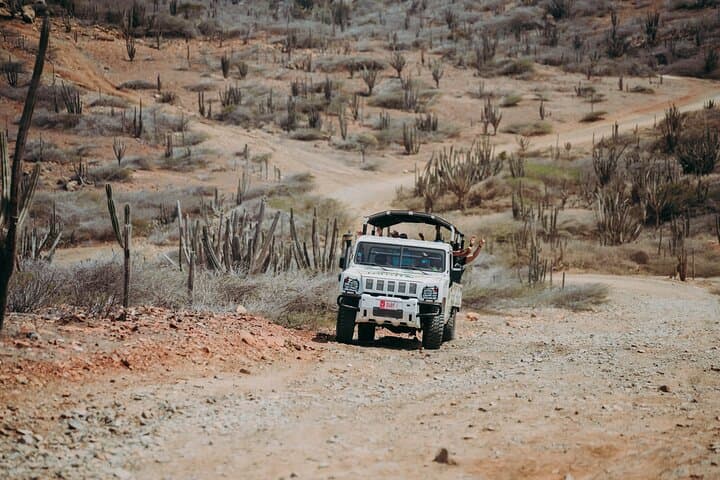 Aruba Jeep Tour to the Natural Pool & Baby Beach — Conchi, Fontein Cave and Off‑Road Trails photo 5