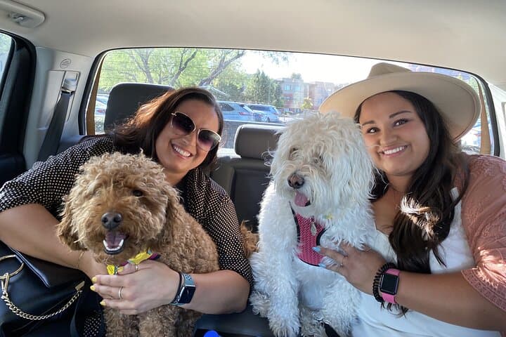 Old Town Cottonwood Wine Tasting & Dinner Tour — Evening Experience photo 4