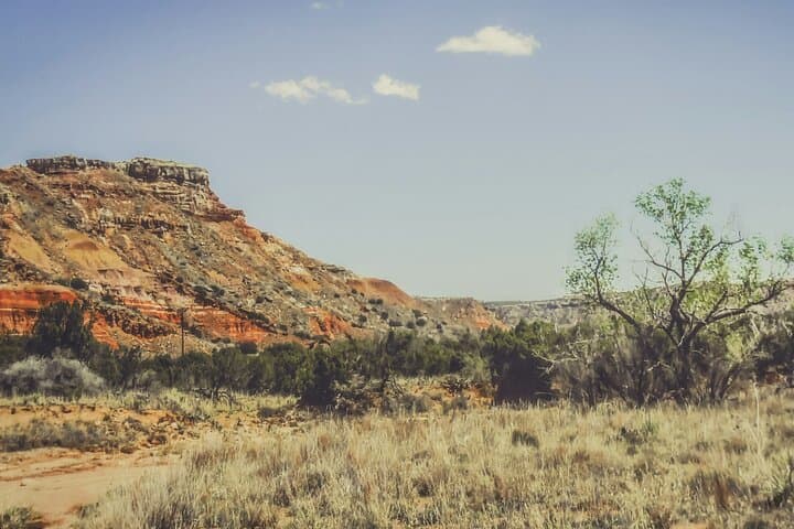 Amarillo Art & Elms Scavenger Hunt: Self-Guided Walking Adventure photo 6