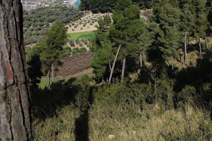 Eye of the Eagle Hike: Private Half-Day Adventure Above Berat photo 2