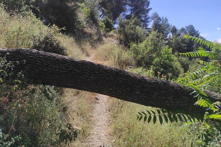 Eye of the Eagle Hike: Private Half-Day Adventure Above Berat photo 5