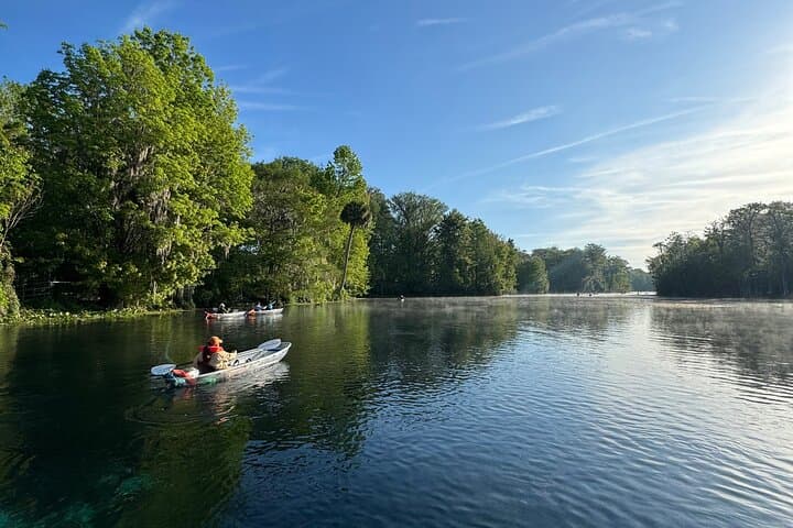 Clear Kayak Tours on the Silver River — Guided Wildlife & Film-Location Paddles photo 3
