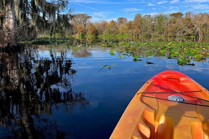 Blue Spring State Park Kayak Rental: Paddle the St. Johns Manatee Refuge (2-Hour)