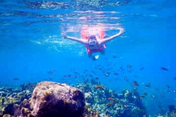 Roatán Zipline, ATV & West Bay Snorkel — Coastal Adventure in One Tour