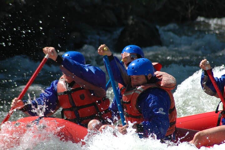 Full-Day Brown's Canyon Rafting on the Arkansas River — Buena Vista, CO photo 5
