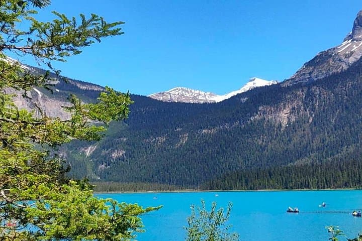 Banff & Yoho Day Tour: Lake Louise, Moraine Lake, Emerald Lake and Marble Canyon photo 4