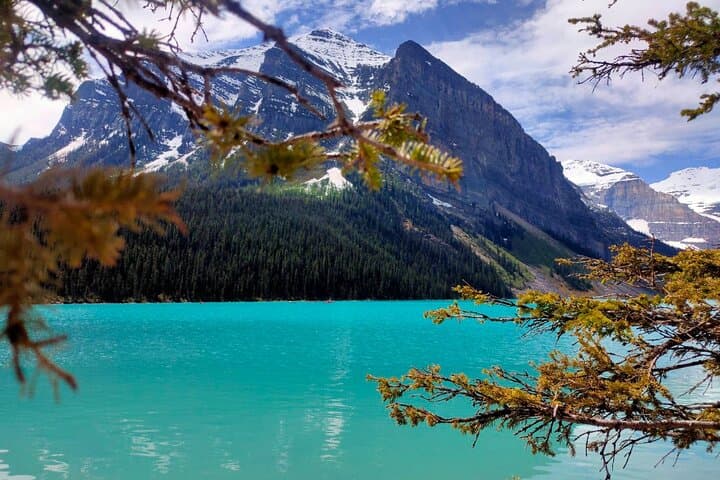 Banff Day Tour: Lake Louise, Moraine Lake, Peyto Lake & Crowfoot Glacier photo 4