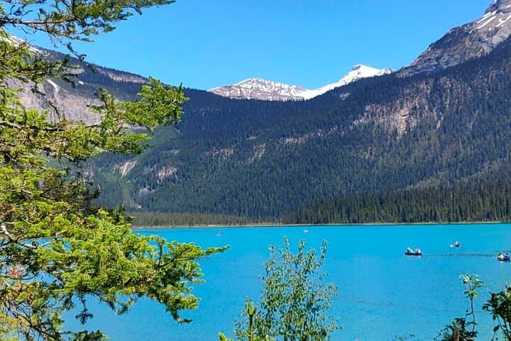 Banff Half-Day Lakes Tour: Lake Louise, Moraine & Emerald Lake photo 2