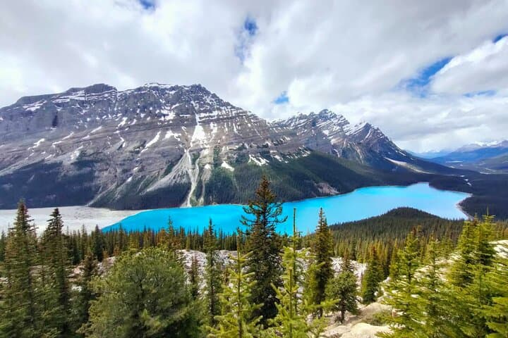 Banff Day Tour: Lake Louise, Moraine Lake, Peyto Lake & Crowfoot Glacier photo 3