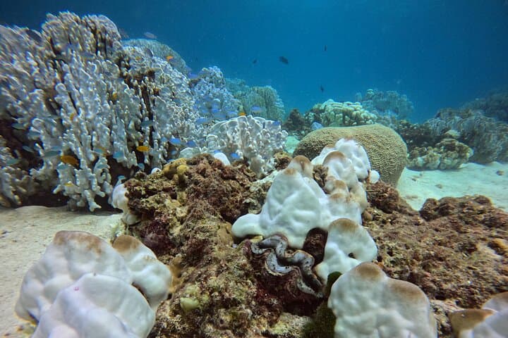 Phuket PADI Open Water Course — 3-Day Scuba Certification with GoPro