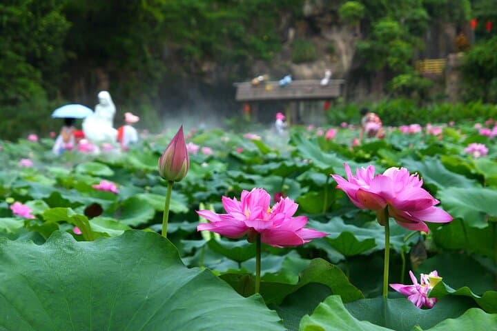 Lotus Hill Ancient Quarry & Big Buddha: Private Day Tour from Guangzhou photo 3