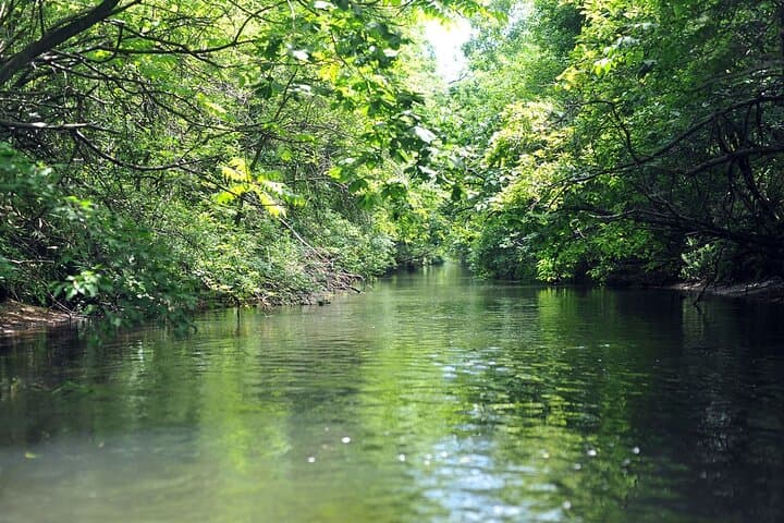 2-Hour Canoe on the Bibi River to Lake Utonai — Guided Canoe Tour from New Chitose Airport photo 2