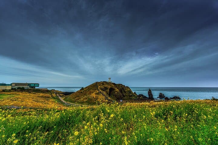 Explore Jeju Island’s Top UNESCO Sites on a Full-Day Cruise Layover Tour photo 2