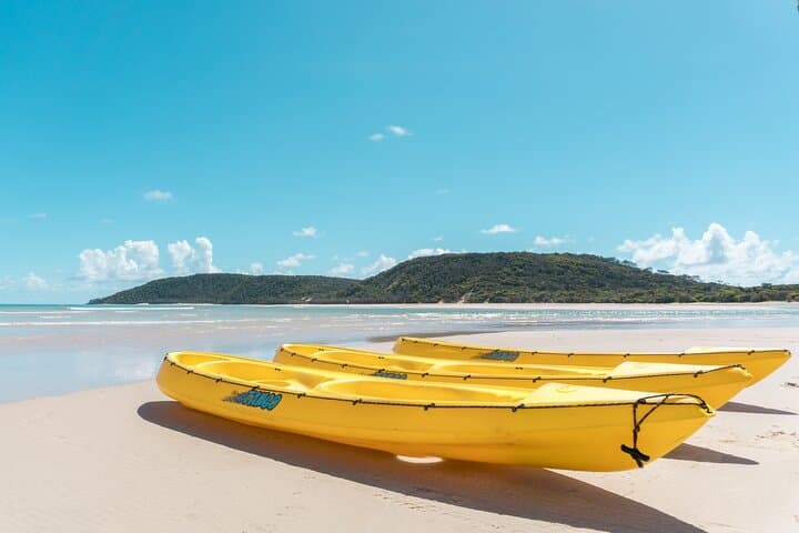 Noosa Whale Watching Ocean Kayak & 4x4 Beach Tour at Double Island Point photo 5