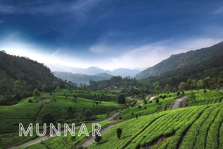 Six-Day Kerala: Kochi, Munnar, Thekkady & Alleppey Backwaters photo 4