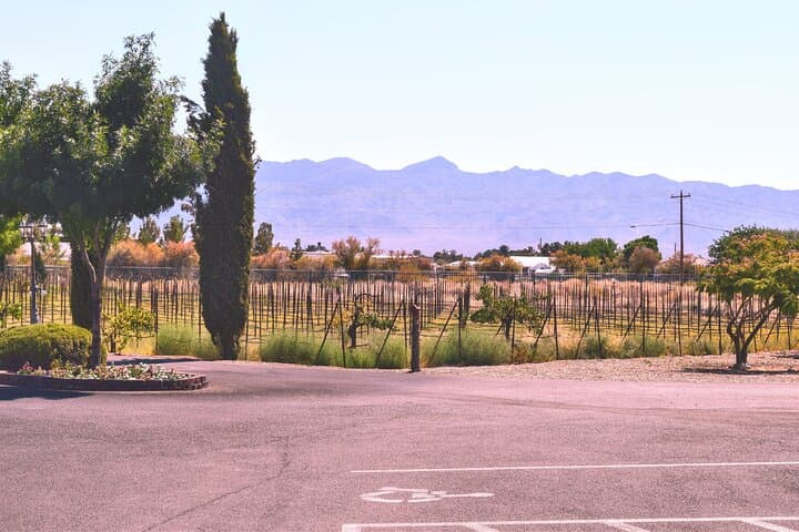 Scenic Wine Tasting Tour from Las Vegas to Pahrump — Wineries, Charcuterie & Desert Views photo 6