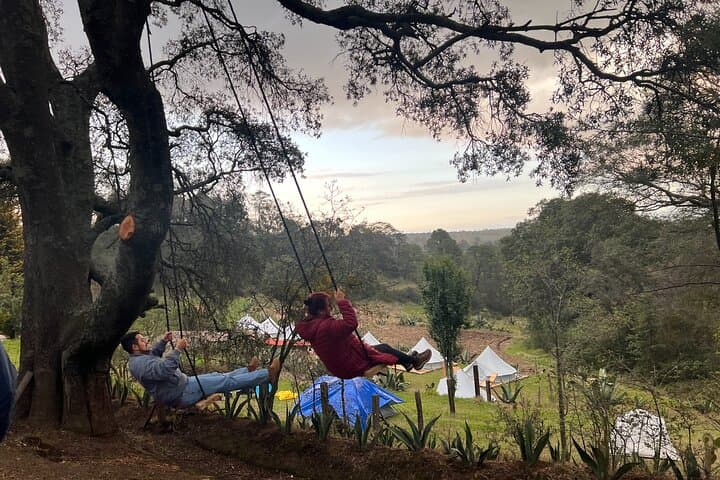 Private Night Tour to Firefly Sanctuary from Mexico City — Guided Walk & Return Transfer photo 2