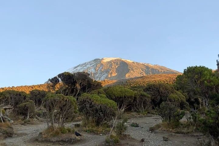 Marangu Route: 5-Day Kilimanjaro Trekking (Coca-Cola Route) photo 3