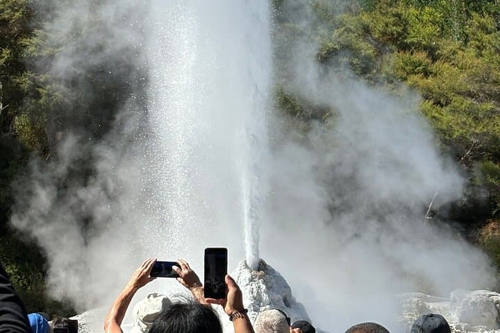 Day Trip from Auckland: Wai-O-Tapu, Redwood Forest & Blue Spring Private Tour photo 4